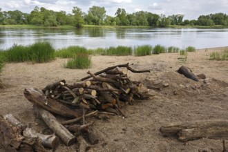 Illegal fireplace on the Elbe, Middle Elbe Biosphere Reserve, Saxony-Anhalt, Germany, Europe