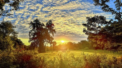 Sunrise, floodplain meadows, floodplain landscape on the Middle Elbe, morning mist, fog, sunrays,