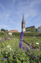 Prince George Garden and Church Tower of St. Elisabeth in Darmstadt, Bergstrasse, Hesse, Germany,