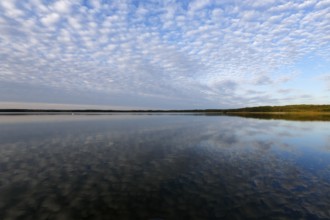 Cloud formation with reflection in the water over a lake in Mecklenburg, Müritz National Park,