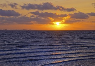 Outgoing tidal fringe in the mudflat landscape with setting sun, North Sea, Norderney Island, East