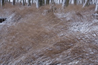 First snow in the Eastern Ore Mountains too