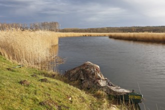 Nature park photographer's boat on the river Trebel, Peenetal River Landscape Nature Park,