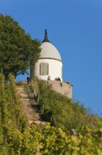 Schloss Wackerbarth or Wackerbarths Ruh' is a baroque castle surrounded by vineyards in the