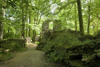 Altzella Monastery, Abbey