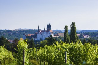 Meißener Scherenschnitt