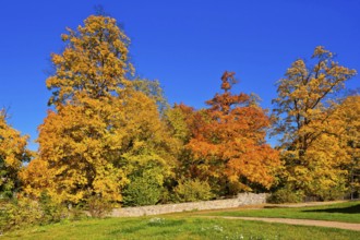 Altzella Monastery Park