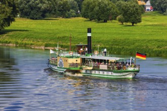 Elbe steamer Krippen on the Elbe off Radebeul