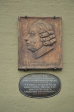 Relief Monument to Baroque Master Builder Balthasar Neumann, Head, Würzburg, Lower Franconia,