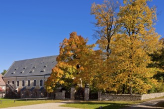 Altzella Monastery Park