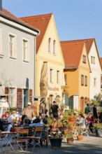 Altkötzschenbroda village green with numerous restaurants and quaint pubs