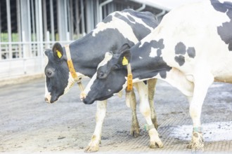 Federal Minister of Food and Agriculture, Cem Özdemir, visits Großdrebnitzer Agrarbetriebsges. mbH