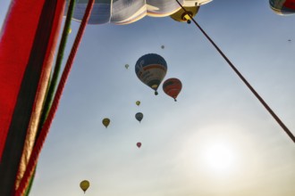 Countless hot air balloons take to the skies, view from below, mass launch, Hot Air Balloon