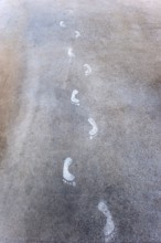 Footprint on the asphalt, running track, foot, walking, running, climate, gag, joke