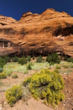 Rock formation in Chelly Canyon National Park, Arizona, USA, North America