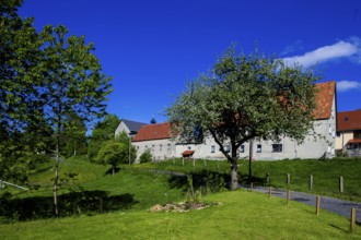 Village view of Oberfrauendorf in the Osterzgebirge mountains