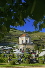 Winery Wackerbarth Castle