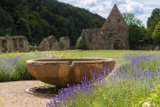 DEU Saxony Klosterbuch Area of the former cloister with Romanesque fountain bowl in the Kreugarten