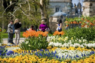 Spring in the Brühl's Garden on the Brühl's Terrace