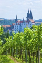 View of Meissen from the Proschwitz Winery