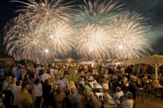 Fireworks for the 3rd Dresden Castle Night