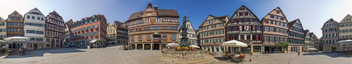 Market Place Tübingen Panorama Germany