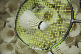 Badminton racket with shuttlecocks, pile, amount, number, much, sport, badminton, game ball, sports