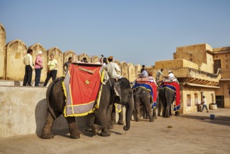 JAIPUR, INDIA, NOVEMBER, 18: Tourists riding elephants in Amber fort, Rajasthan, Elephant ride is a