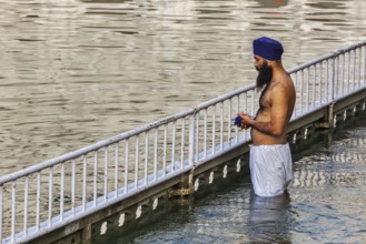 AMRITSAR, INDIA, AUGUST 26, 2011: Sikh man praying and bathing in holy tank around Harmandir Sahib