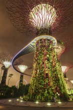 SINGAPORE, DECEMBER 31, 2013: Night view of Supertree Grove at Gardens by the Bay. Futuristic park