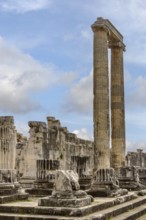 Columns of the Temple of Apollo, excavation site of Didyma, today Didim, Ionia, Aydin Province,