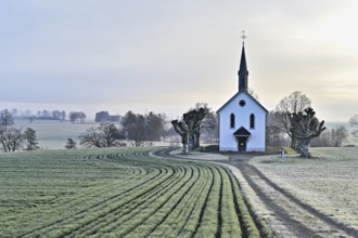 Roman Catholic St John's Chapel, behind Reussal in the early morning mist, Aristau, Freiamt, Canton