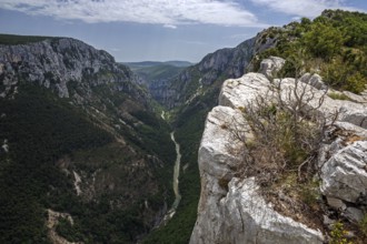 View into the Verdon Gorge at the Belvedere de la Dent d Aire, below river Verdon, Grand Canyon du