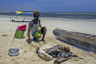 Malagasy man cooking freshly caught fish on grill over charcoal fire on sandy beach at Andavadoaka