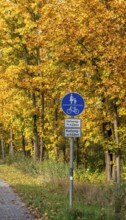 Autumn time, federal road B 96 to Schildow, Berlin, Germany, Europe