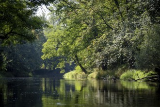 River landscape of the Thaya in late summer, Czech Republic, Europe