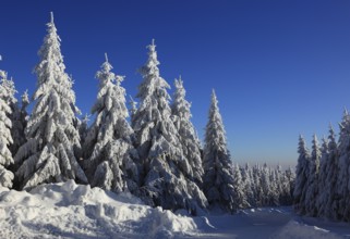 Winter landscape in the Fichtelgebirge, Bayreuth district, Upper Franconia, Bavaria, Germany,