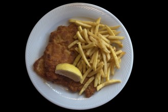 Wiener Schnitzel with french fries on a black background, Franconia, Bavaria, Germany, Europe