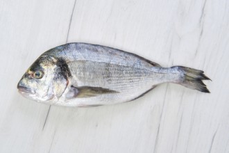 Raw dorada fish on black stone table