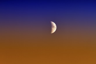 Crescent moon, waxing moon after sunset, France, Europe