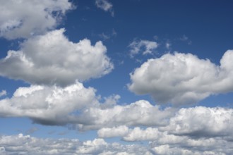 Cloud formation (cumulus), blue sky with low clouds, Baden-Württemberg, Germany, Europe