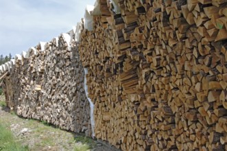 Firewood, split 1 metre pieces, bundled in stere, for sale