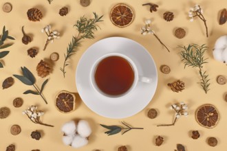 Cup of tea surrounded by seasonal forest decoration on beige background