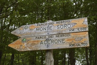 Wooden signs in the national park, two signs on top of each other, forest, Nebrodi National Park,