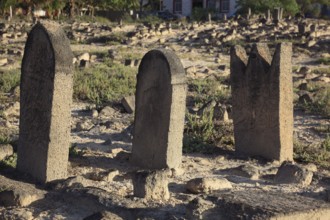 Historic Arab cemetery at Al-Baleed excavation site, Unesco World Heritage Site, Oman, Asia