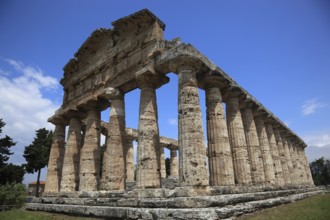 The Athenaion, Temple of Ceres or Temple of Athena in Paestum, Campania, Italy, Europe