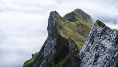 Mountain ridge in the Alpstein, high fog in the valley, Säntis, Appenzell Ausserrhoden, Appenzell