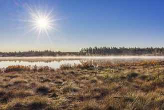 Landscape view at a bog by a lake a sunny autumn day, Sweden, Europe