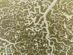 Network of dry channels and streams at low tide, in the marshland of the Bahía de Cádiz, aerial