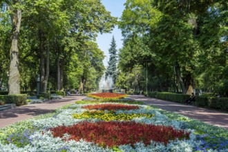 Flower bed in Panfilov Park, municipal park in Bishkek, Kyrgyzstan, Asia